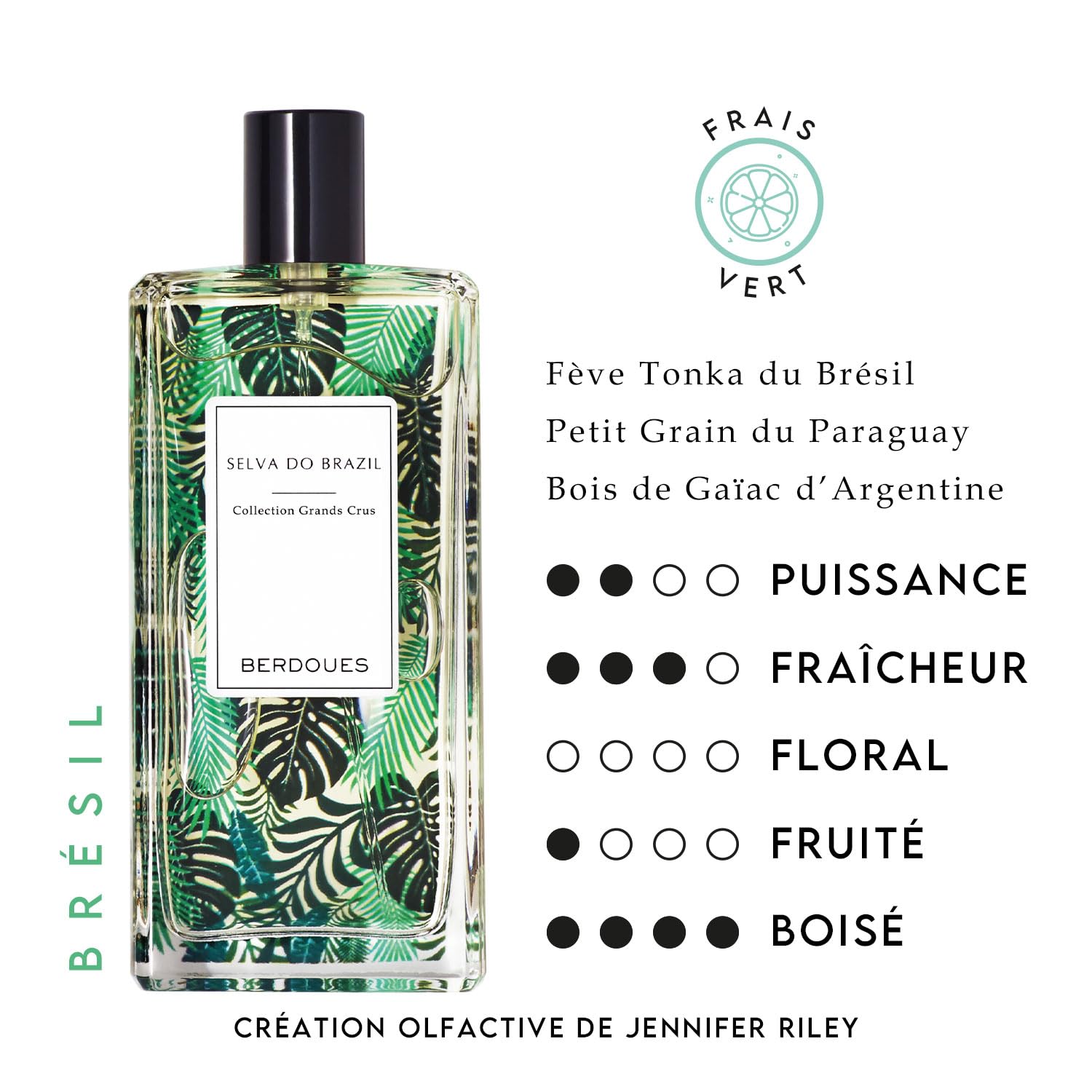 BERDOUES – Selva Do Brazil Eau de Parfum – Berdoues Grands Crus, parfum végétal et boisé inspiré de la forêt amazonienne, Parfum mixte 100ml