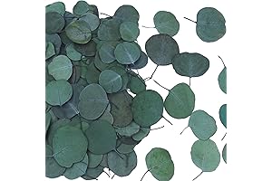Enrich Your Ambiance with Natural Glamour: 200 Preserved Eucalyptus Leaves for Unforgettable Occasions