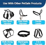 PetSafe Nylon Dog Leash - Strong, Durable, Traditional Style Leash with Easy to Use Bolt Snap - 3/4" x 6', Black