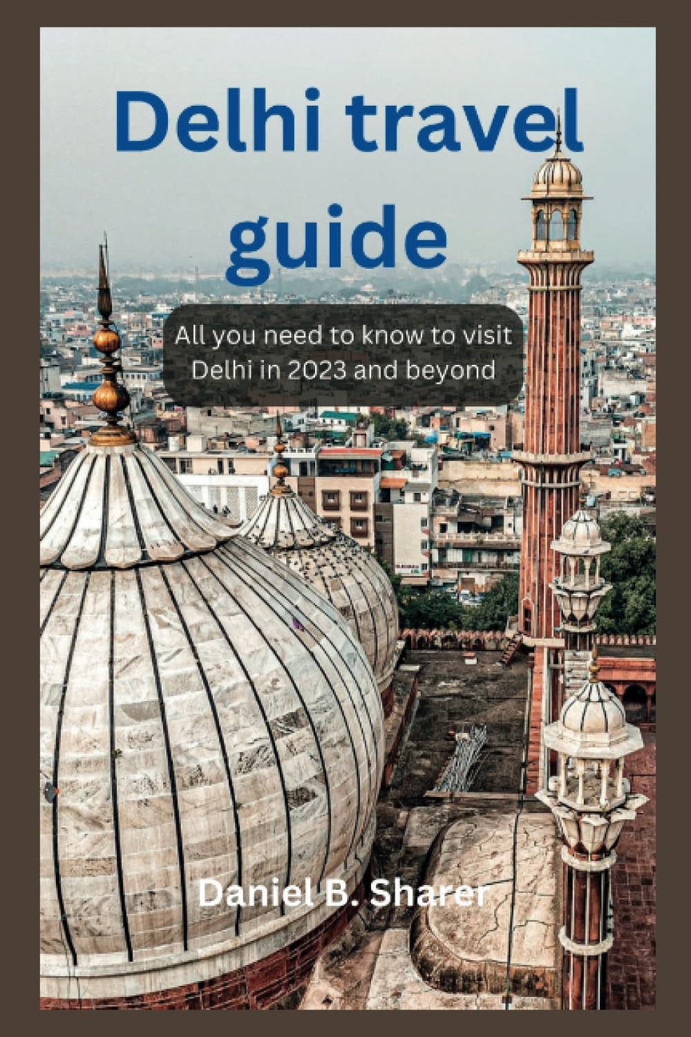 Delhi travel guide: All you need to know to visit Delhi in 2023 and beyond (Continental travel guide)