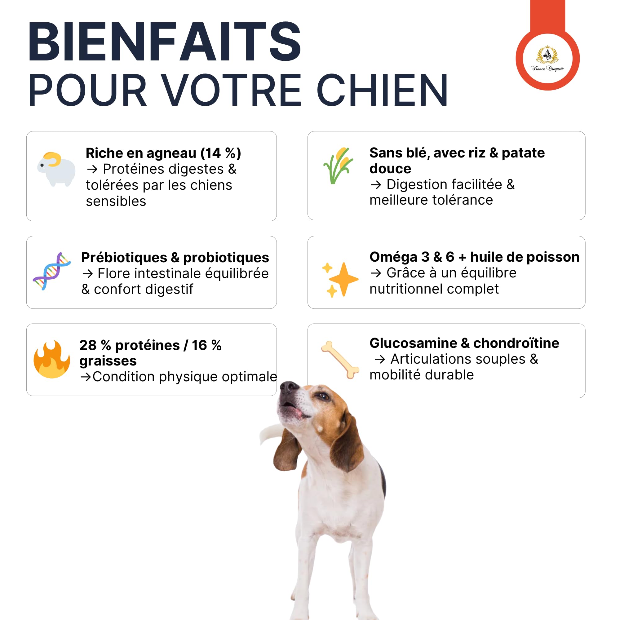 Croquettes hypoallergéniques Chien Adulte France Croquettes Royal Agneau – sans blé, hautement digestes, Riches en protéines, avec prébiotiques & probiotiques pour Flore intestinale Saine - 12KG