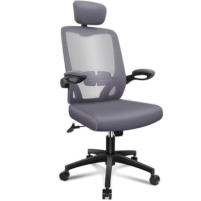 Buy ENGBER Office Chair Ergonomic Desk Chairs Lumbar Support, Mesh