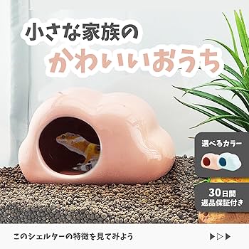 Amazon | 両爬工房 シェルター 隠れ家 爬虫類 レオパ ニシアフ