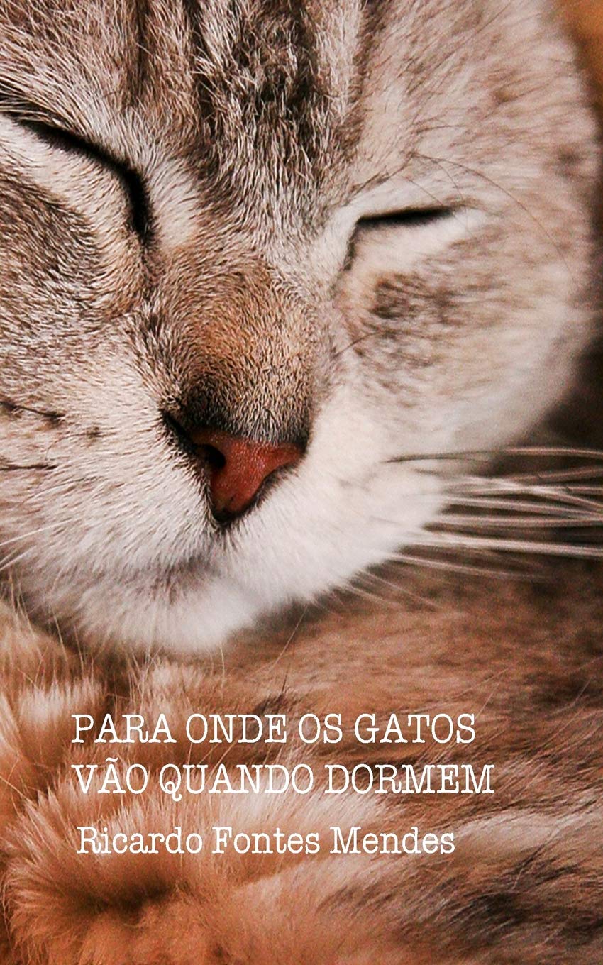 Para Onde Os Gatos Vão Quando Dormem