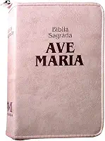 Bíblia zíper strike - média - rosa: Média - Zíper Strike - Rosa