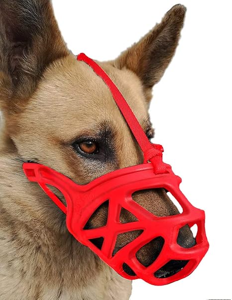 dog muzzle red