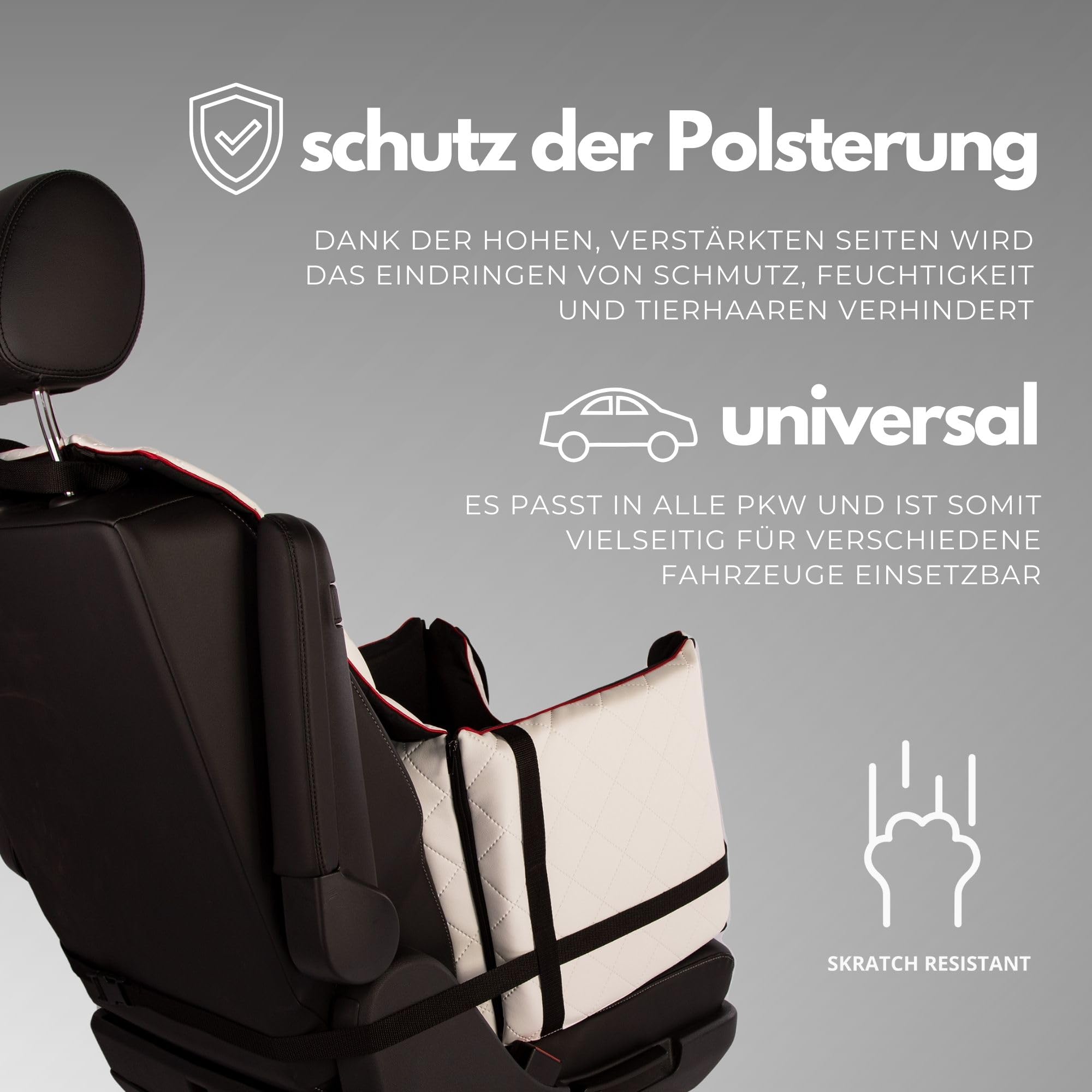 Transport box for dogs with safety belt, M-52 x 44 x 33 cm