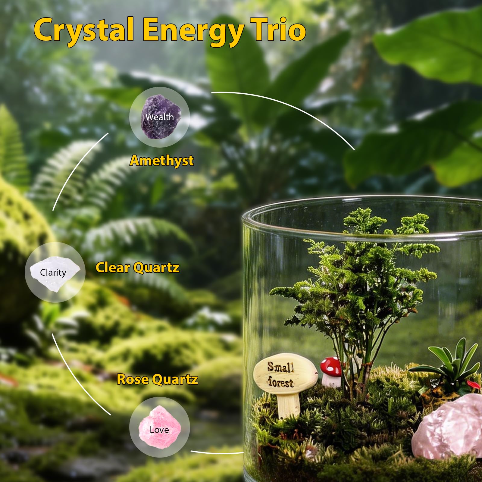 Kit de terrario de cristal para hacer tú mismo - Kit de inicio todo en uno de 21 piezas con musgo preservado, piedra pómez, cristales, fibra de coco, herramientas y decoración | Regalo curativo para