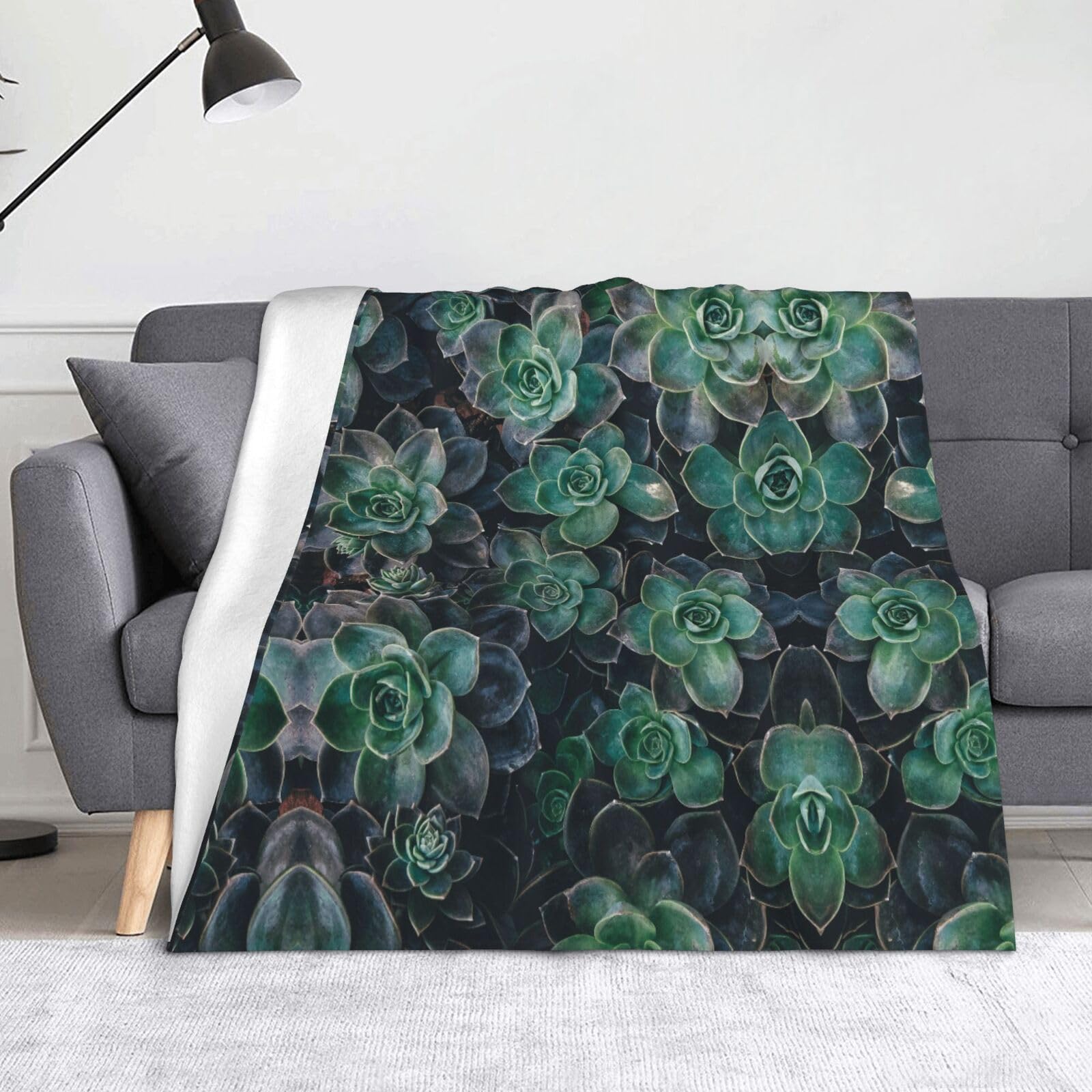 Couverture polaire flanelle vert succulent idéale pour canapé et soirées cocooning