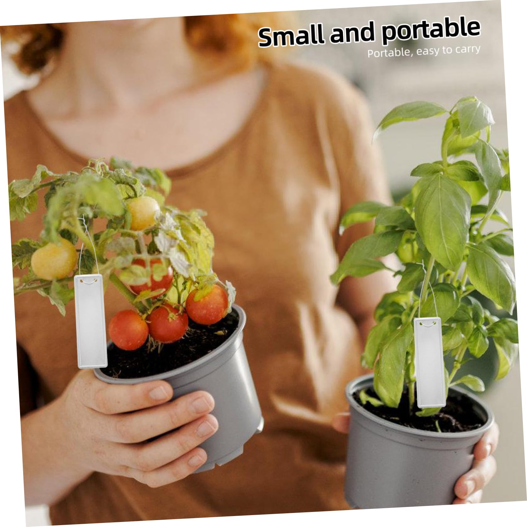 SUPVOX 5 Ensembles Étiquettes Rondes En Aluminium D'Art Étiquette De Plante Étiquettes De Jardin Étiquettes De Plantes Pour es D'Extérieur Étiquettes Pour es 50 pièces * 5