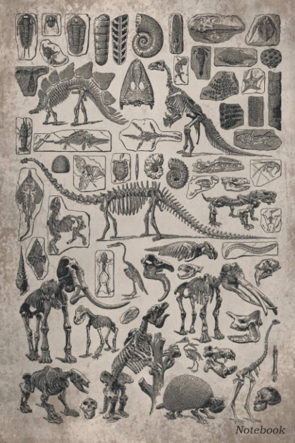XandYart PublishingPaleontology Notebook: Vintage paleontology fossil print included Dinosaurs, Blank Lined notebook, Planner Journal, To do list notebook, Daily Organizer, 6 x 9 inch, 110 pages