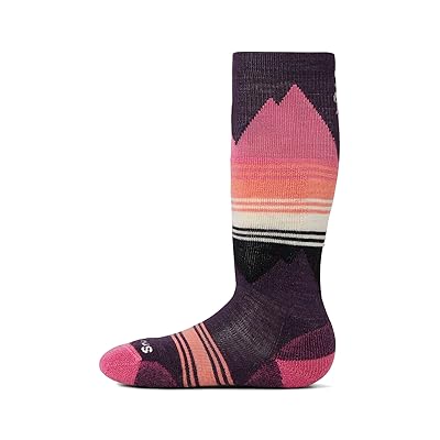 Smartwool Kids Ski Light Cushion Over the Calf Socks (Toddler/Little Kid/Big Kid) Kids Shoes Purple Iris