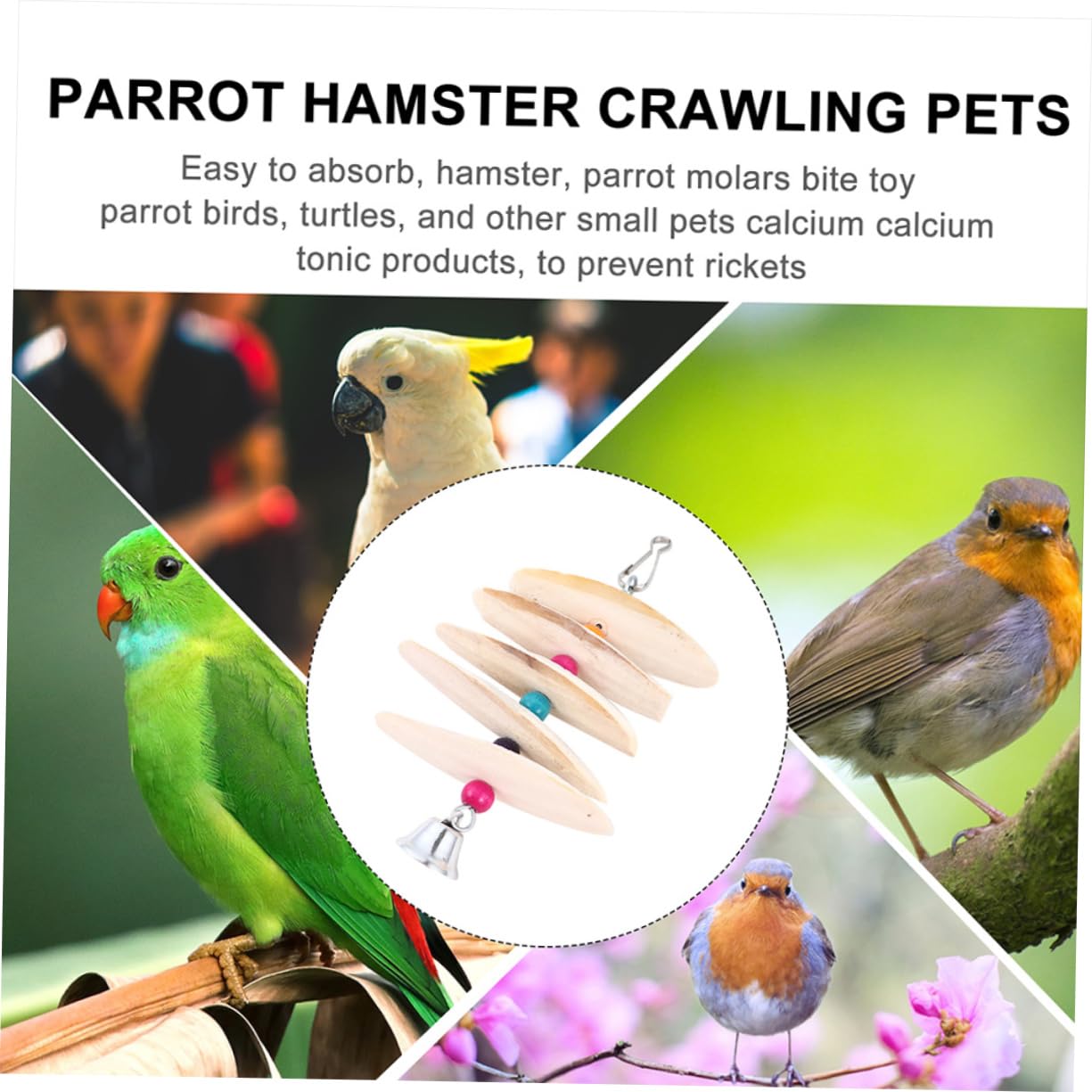 POPETPOP 6pièces Jouets à Mordre De Seiche pour Oiseaux Accessoires De Formation Molarité pour Perruches Et Petits Animaux Couleur Aléatoire