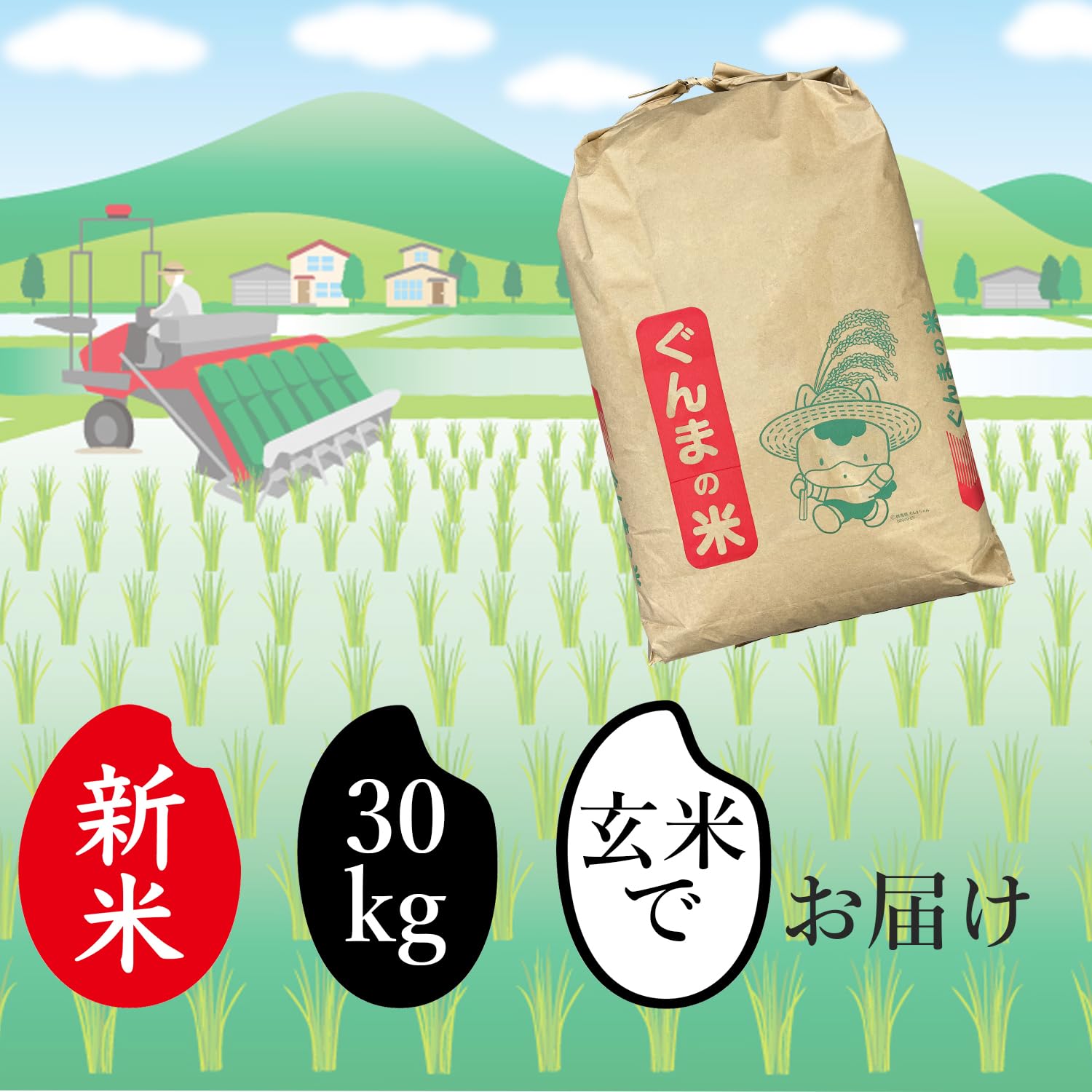 Amazon.co.jp: 玄米 30kg 新米 令和7年産 米 30キロ お米 おこめ 花の