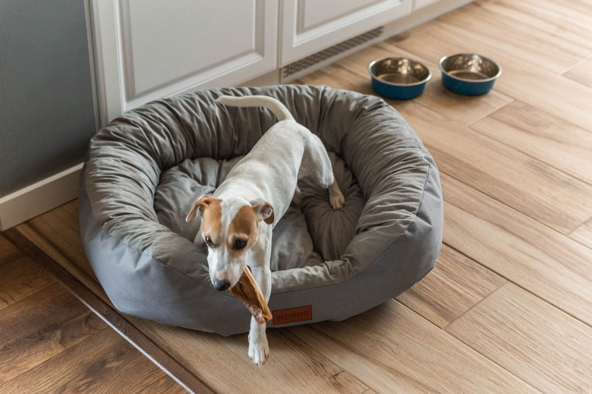 BedDog Cama Perro XL - Cama para Perros - Camas Perros Mediano - Colchoneta Perro - Colchon Perro Grande en Tejido Alicante