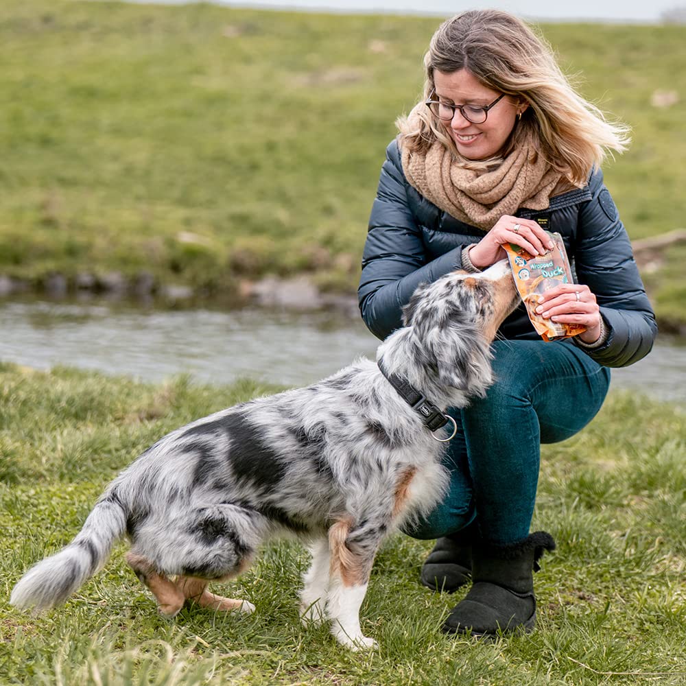 Nobby Starsnack Barbecue Banana Chicken Snacks Hund Günstig Im