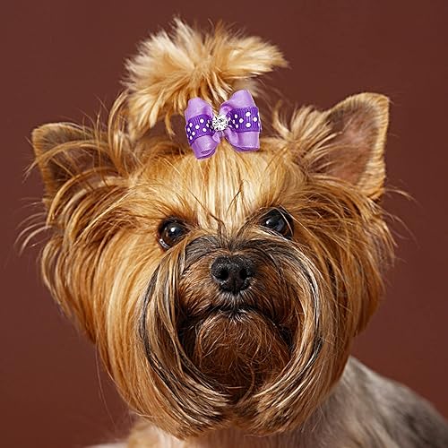 Miniatura 5 de PET SHOW 20 lazos para el pelo de perros pequeños con bandas de goma para cachorros, gatos, moño a juego, accesorios de aseo para el cabello para