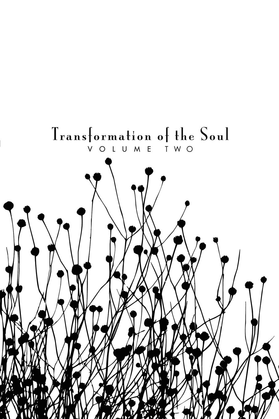 Transformation of the Soul: Volume II: 2