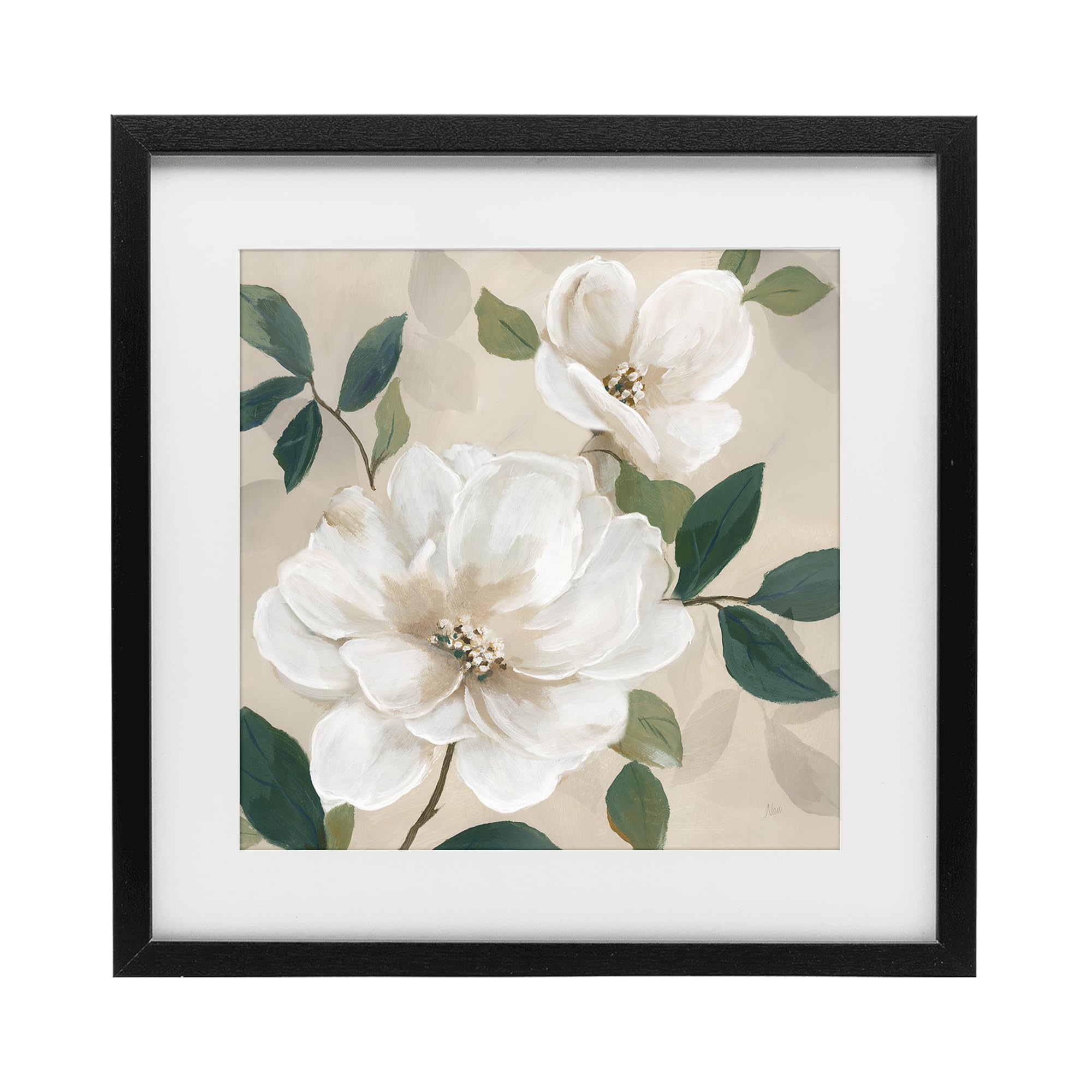 Stupell Industries 'Serene White Magnolia Study', Framed Print Under Glass, Black, 13 x 13 Inches, Easy to Hang and Sturdy, Made in USA, by Nan