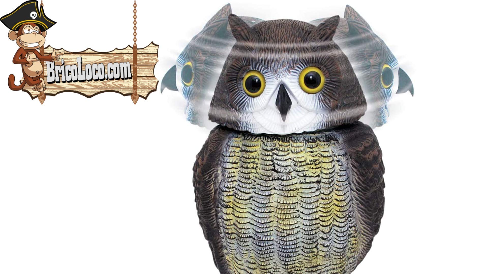 BricoLoco 2 Stück Eule Vogelschreck Größe Real Extra 42 cm Taubenabwehr Vogelabwehr für Gemüse, Garten oder Balkon Windaktivierter Drehkopf Reflektierende Augen