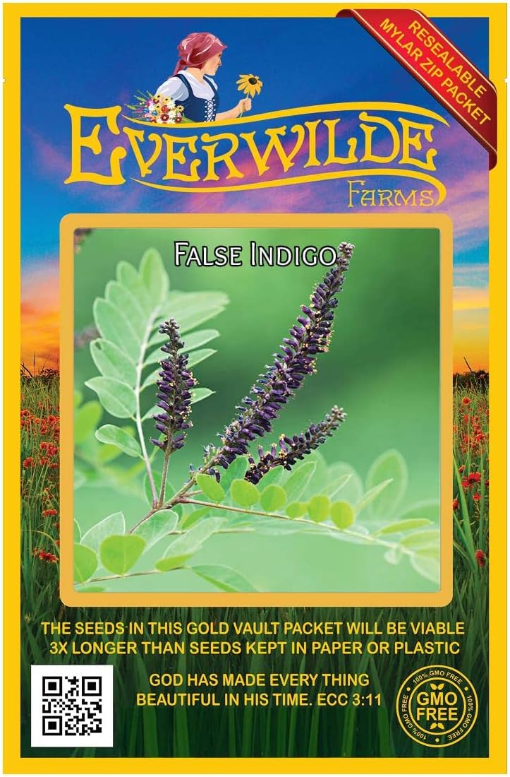 Everwilde Farms - 1/4 Lb False Indigo Native Wildflower Seeds - Gold Vault