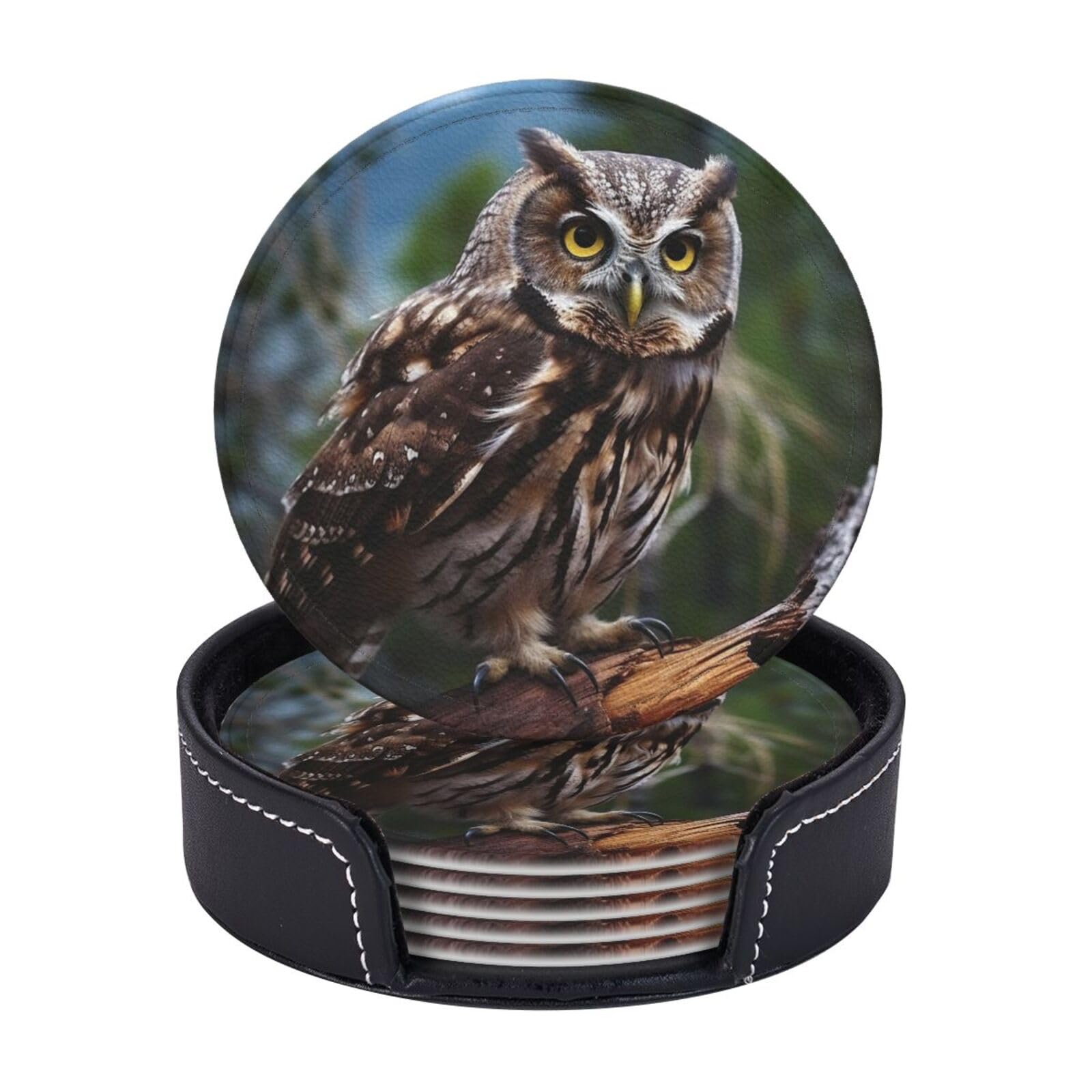 Drink Coasters 6Pcs Round Leather Coaster with Holder Wild Owl Birds Coasters for Drinks Coffee Cup Mat Heat Resistant Coaster for Tabletop Protection Desk Accessories Office Home Decor
