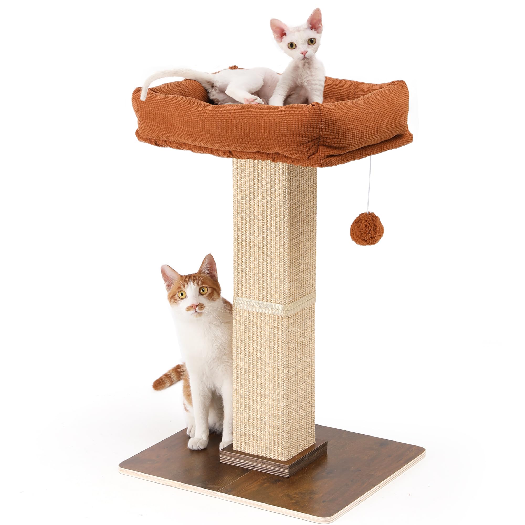 FUKUMARU Rascador para Gatos, árbol rascador de Estilo Retro con Plataforma para Gatos Adultos de Interior, Columna rascador con Cama, sisal Natural y Madera Maciza.