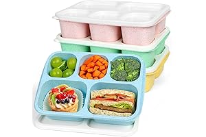 The Ideal Container Box for School, Work, and Travel