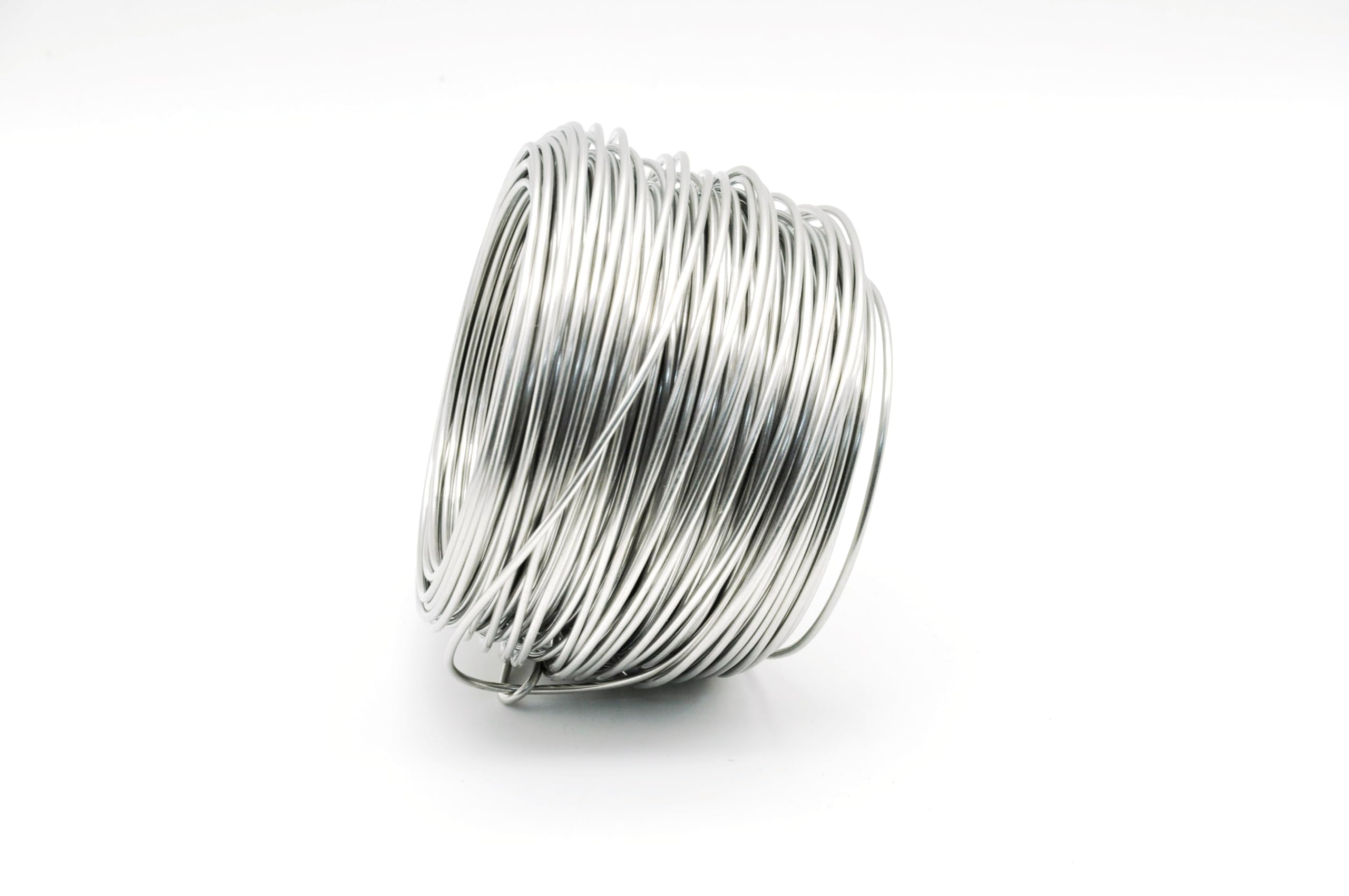 Fil solide en acier inoxydable, 0,5 kg, fil en acier multi-usage, idéal pour les travaux manuels, les projets de bricolage, la fixation, la fixation de clôtures (calibre 1, 16)