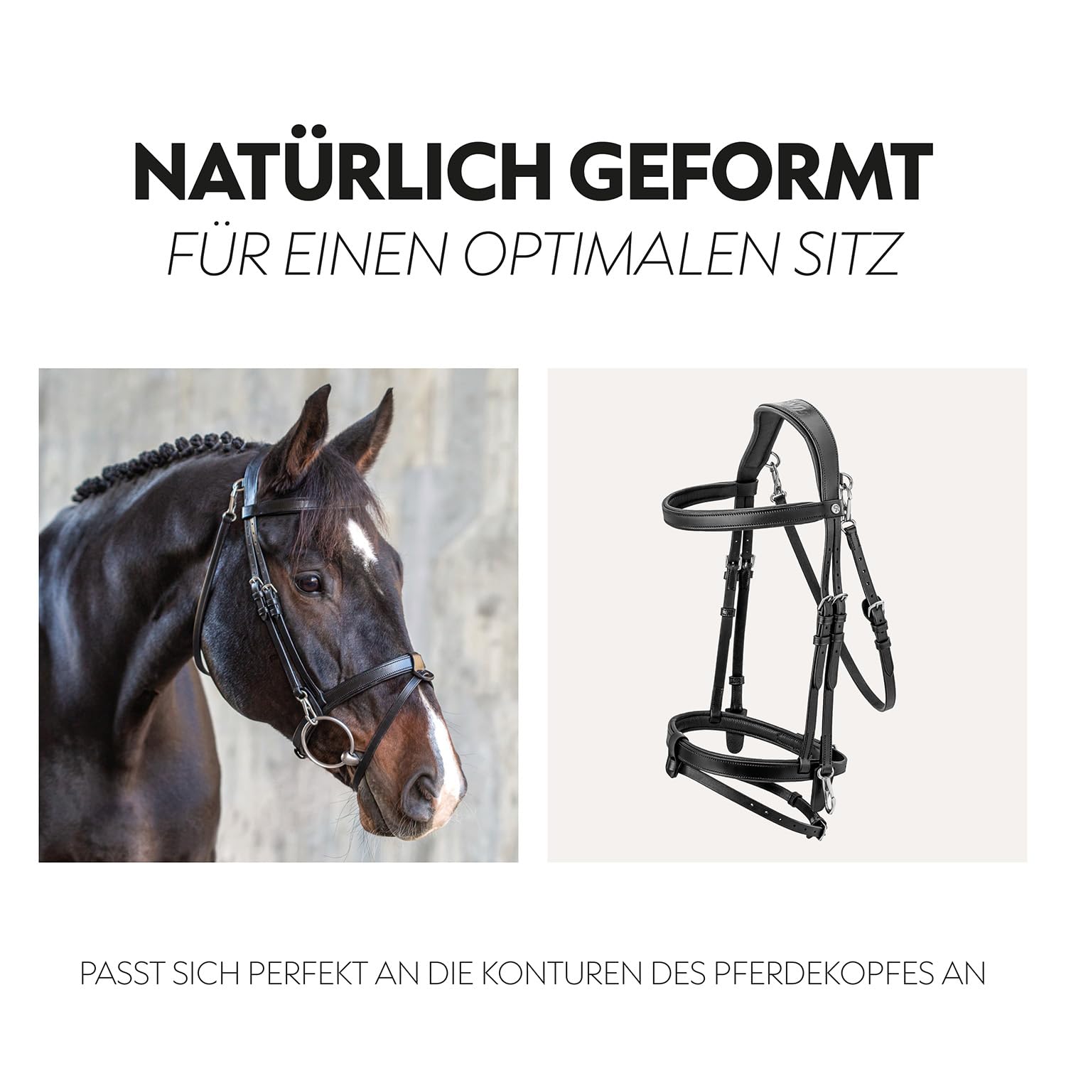 SUNRIDE Englisch kombinierte Trense für Pferde mit Zügeln weiches Echtleder extra Polsterung anatomisch verstellbar Click&Ride handgefertigt rostfrei schwarz Cob