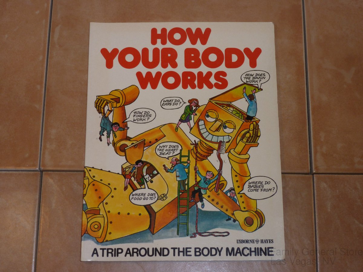 How Your Body Works (Children's World) Hindley, Judy, Rawson, C. J