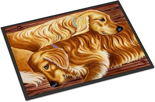 Miniatura 7 de Caroline's Treasures AMB1202JMAT - Tapete rojo de pelo largo para puerta delantera, 24 x 36 pulgadas, para interiores y exteriores, para entrada,