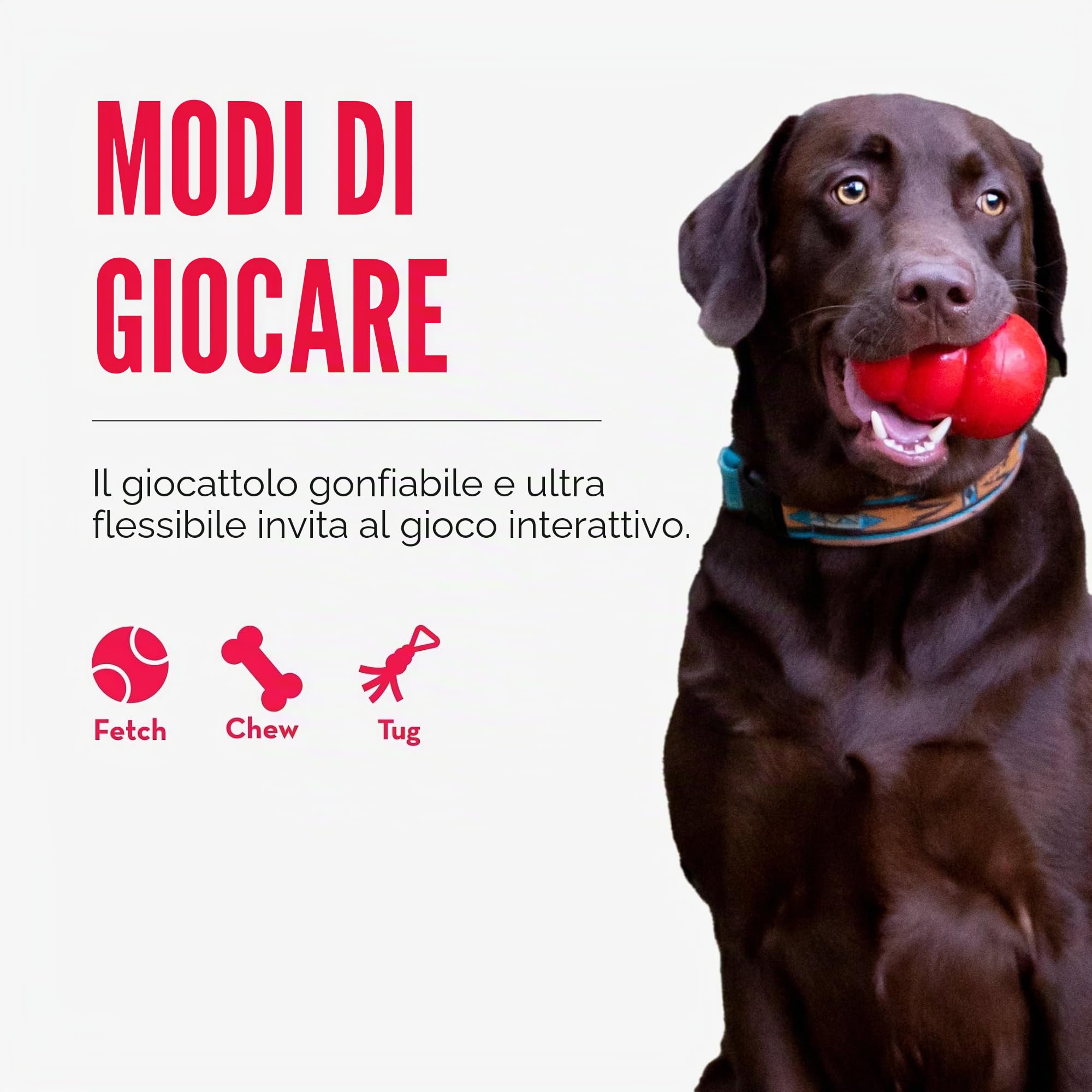 KONG Volantino per Cani Reflex