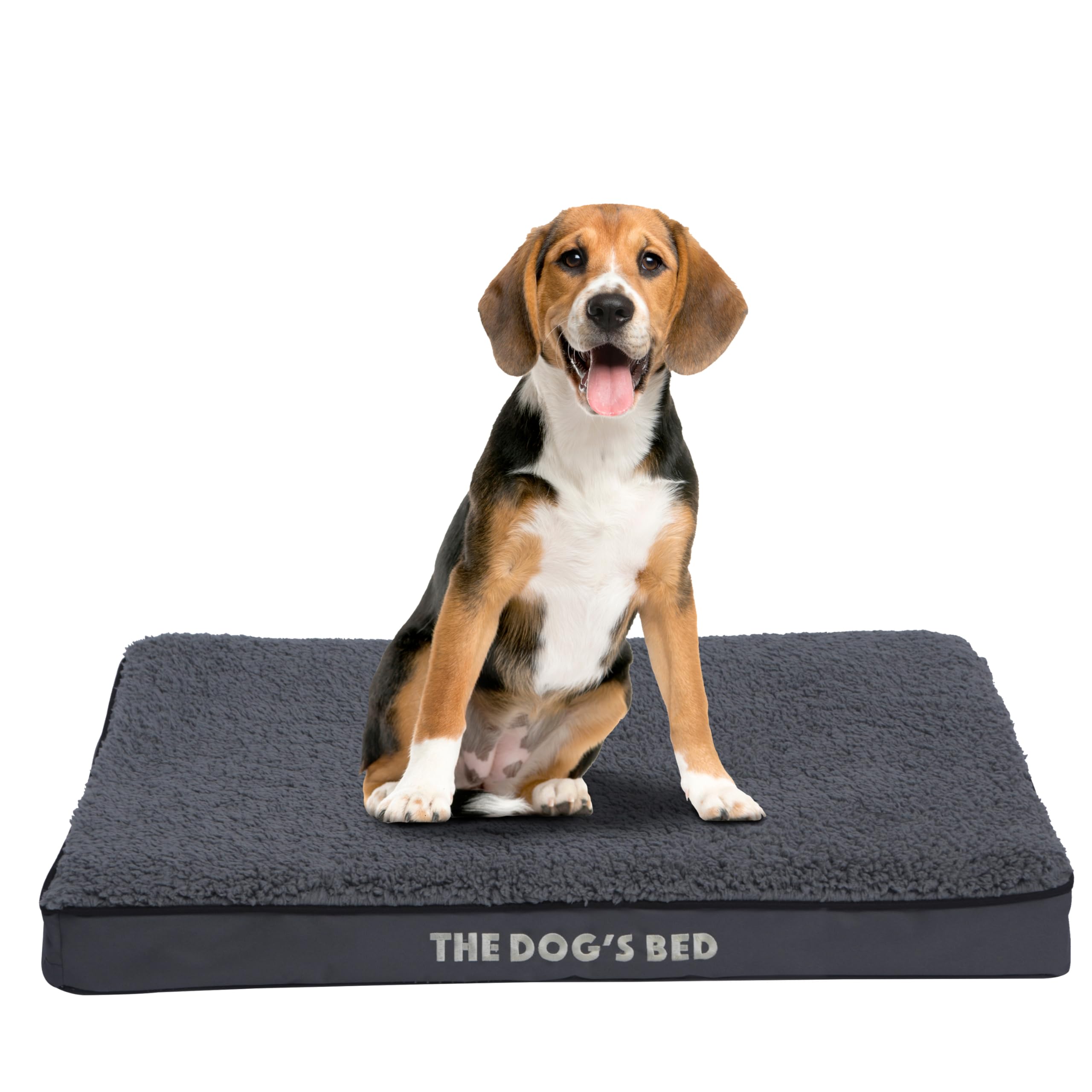 The Dog’s Bed Orthopedic Standard Foam Dog Bed Mattress, Plush Fabric, Grey, Medium