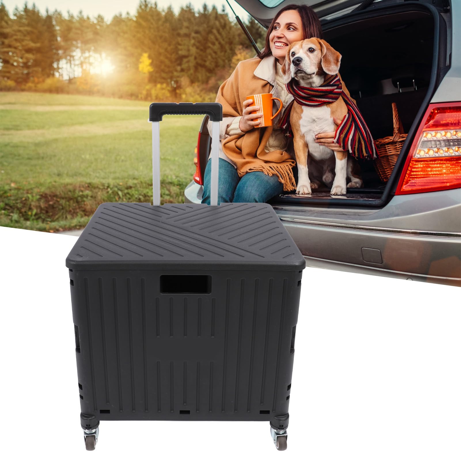 SUNGOOYUE Carrello Multiuso Pieghevole con Maniglia Telescopica, Cassa in PP con Ruote per Salire le Scale, Carrello Pieghevole 15,75 X 14,17 X 39,37 Pollici per l'ufficio degli Insegnanti della