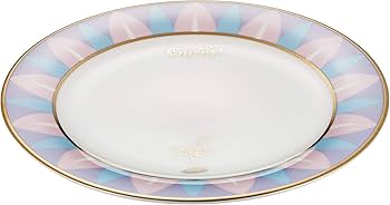 ディズニー 美女と野獣 限定プレート 皿 Amazon.co.jp: 美女と野獣 スーベニア プレート お皿 プリンセス ベル