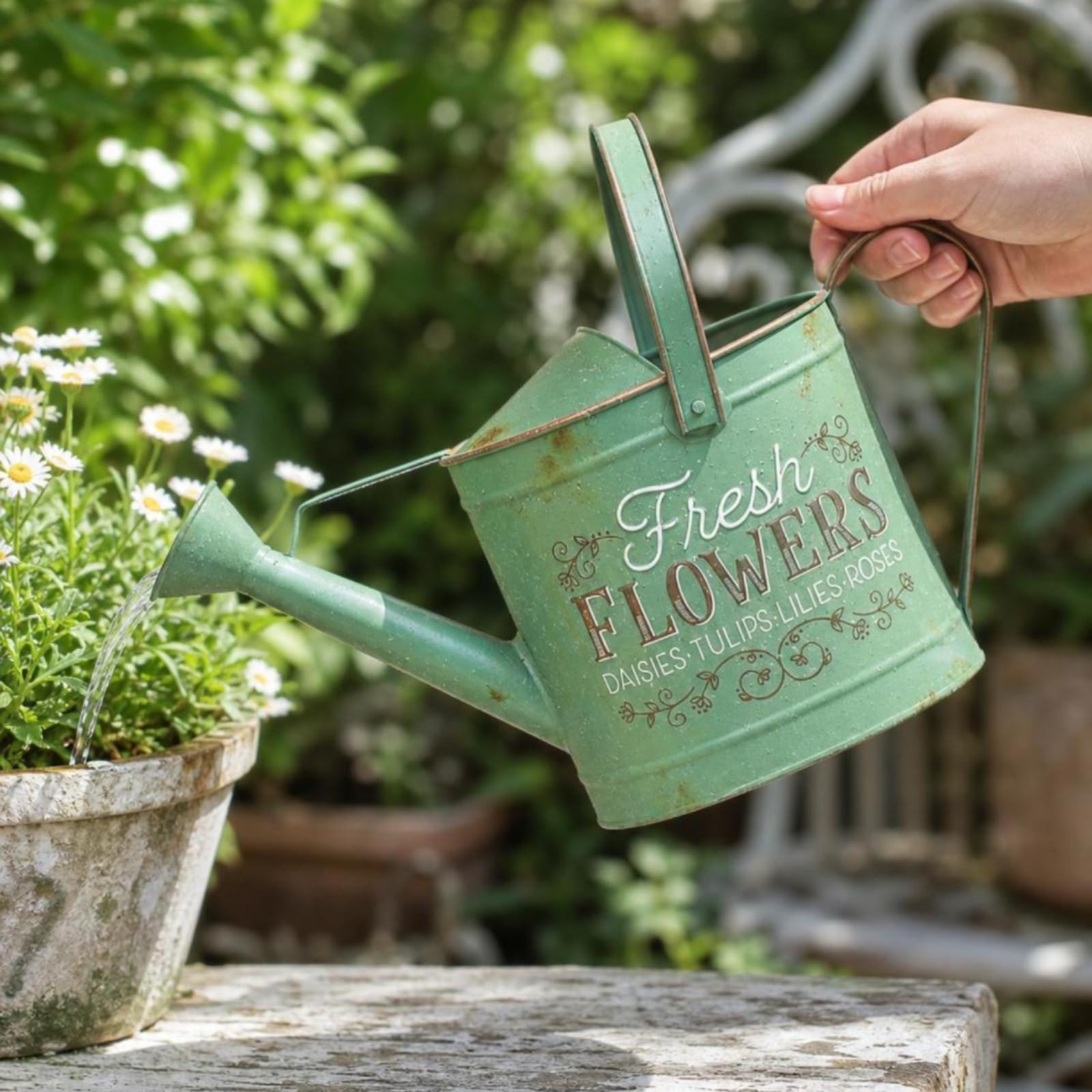 Innaffiatoio Metallico Vintage con Manico Superiore E Laterale per Piante da Interno Giardino Balcone Capacità 3 Litri
