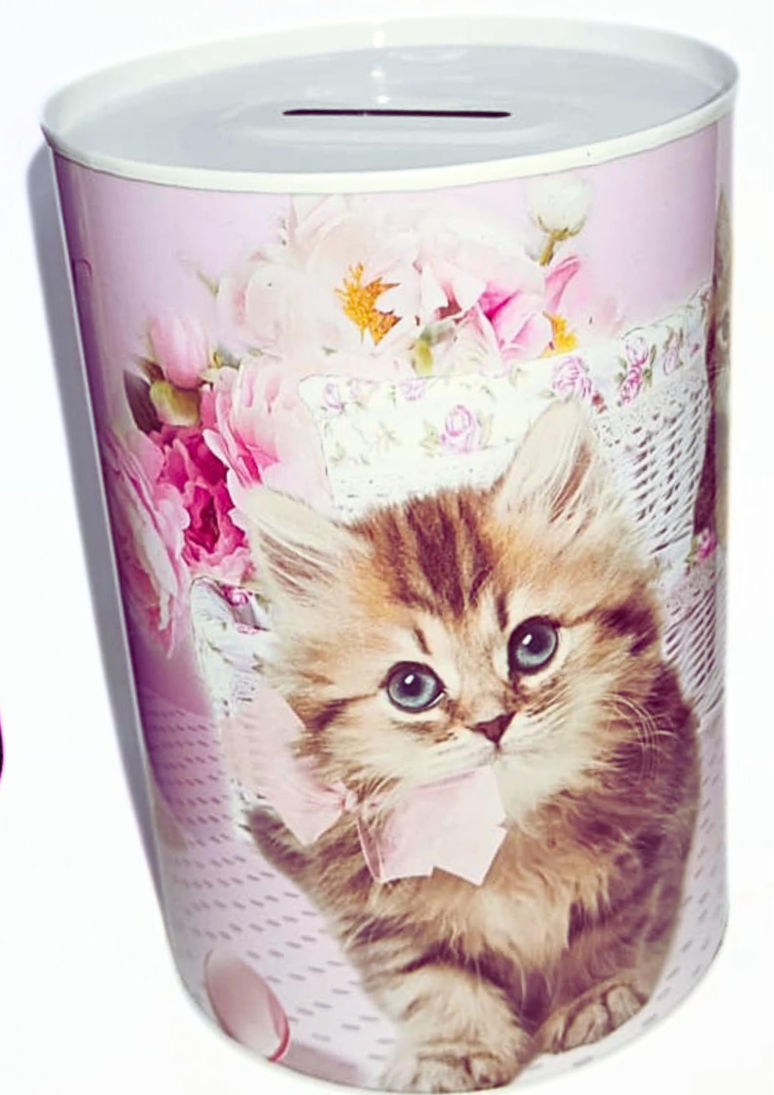 Rose-Colored Cat-Themed Coin Box - A Whisker-tastic Way to Save - money bank - Saving in Style - Sealed Bottom for better savings for all ages - gift for kids (B0CKNNZRQJ) Amazon Price History, Amazon Price Tracker