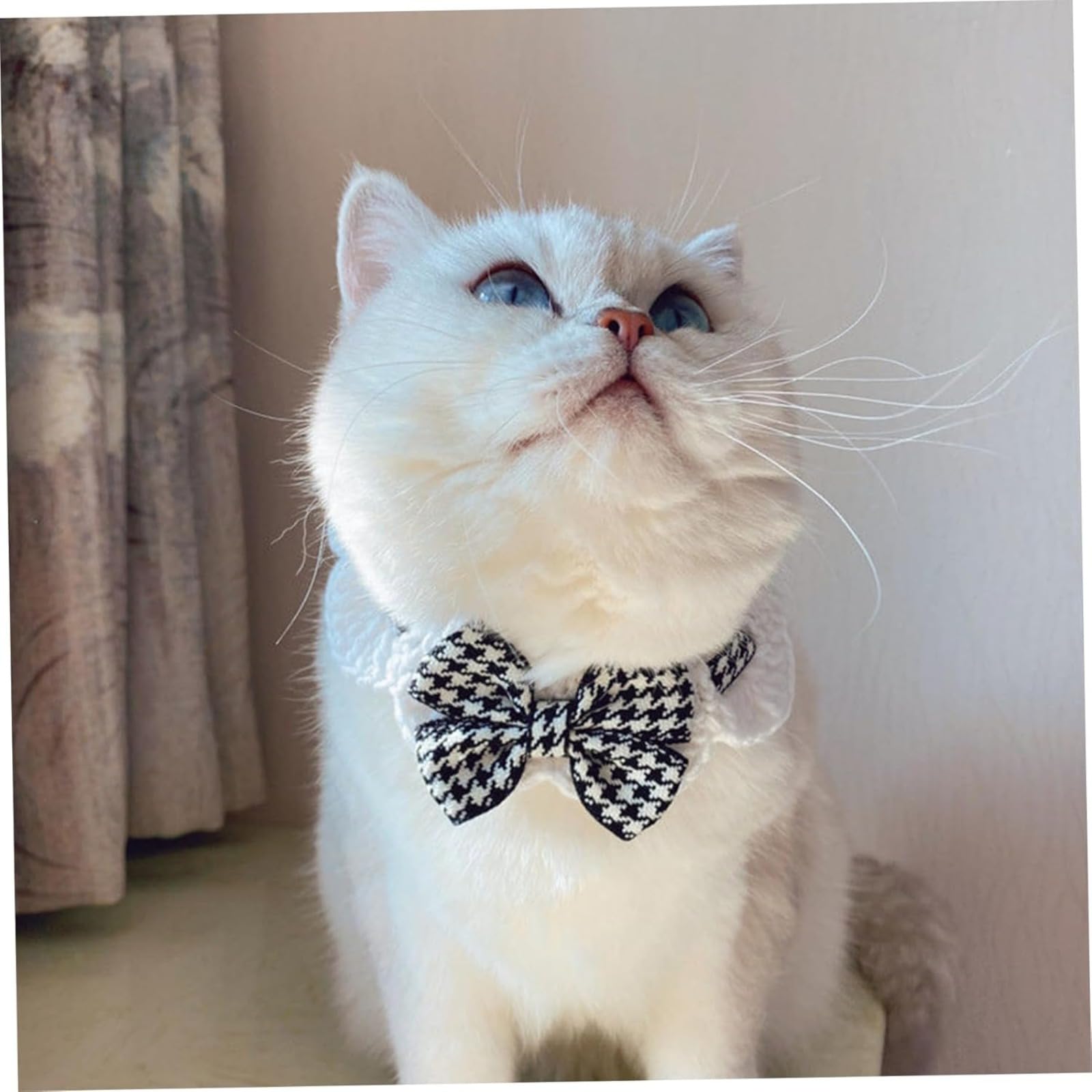 2PCS Handgemachte gestrickte Katzenhalsbänder Knopfverschluss 12 14 Verstellbarer Hals Katzenhalsband Breakaway für den täglichen Gebrauch Fotos für 575kg Catsvibrant Farben Haustier