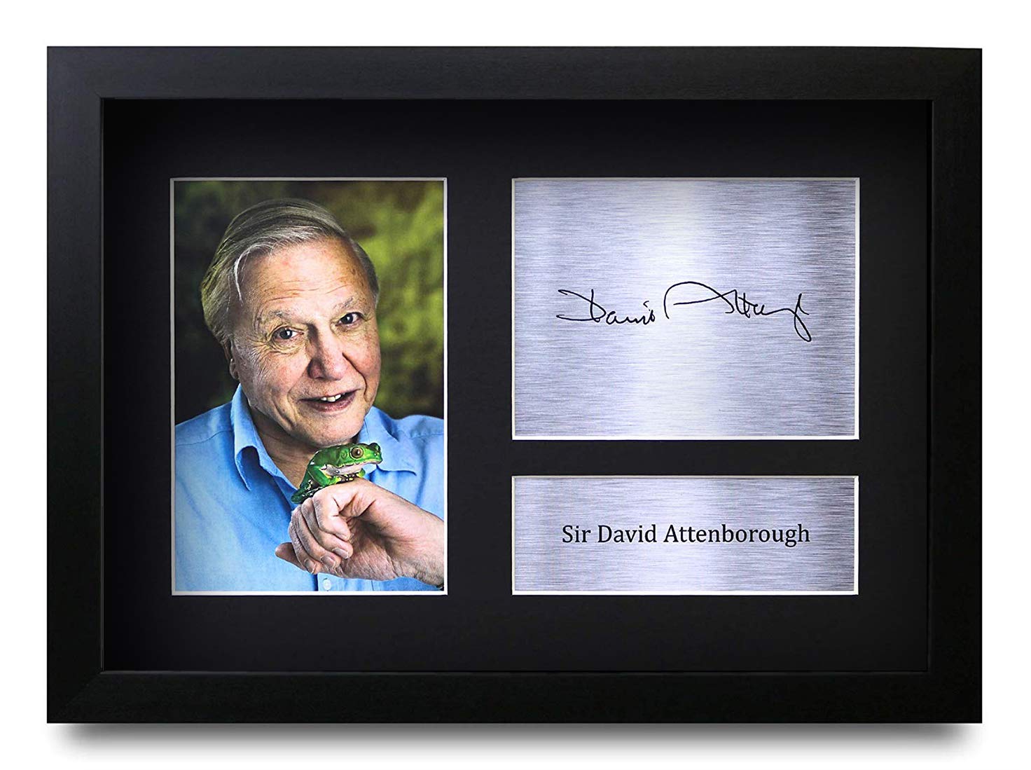 HWC Trading FR David Attenborough Gifts Printed A4