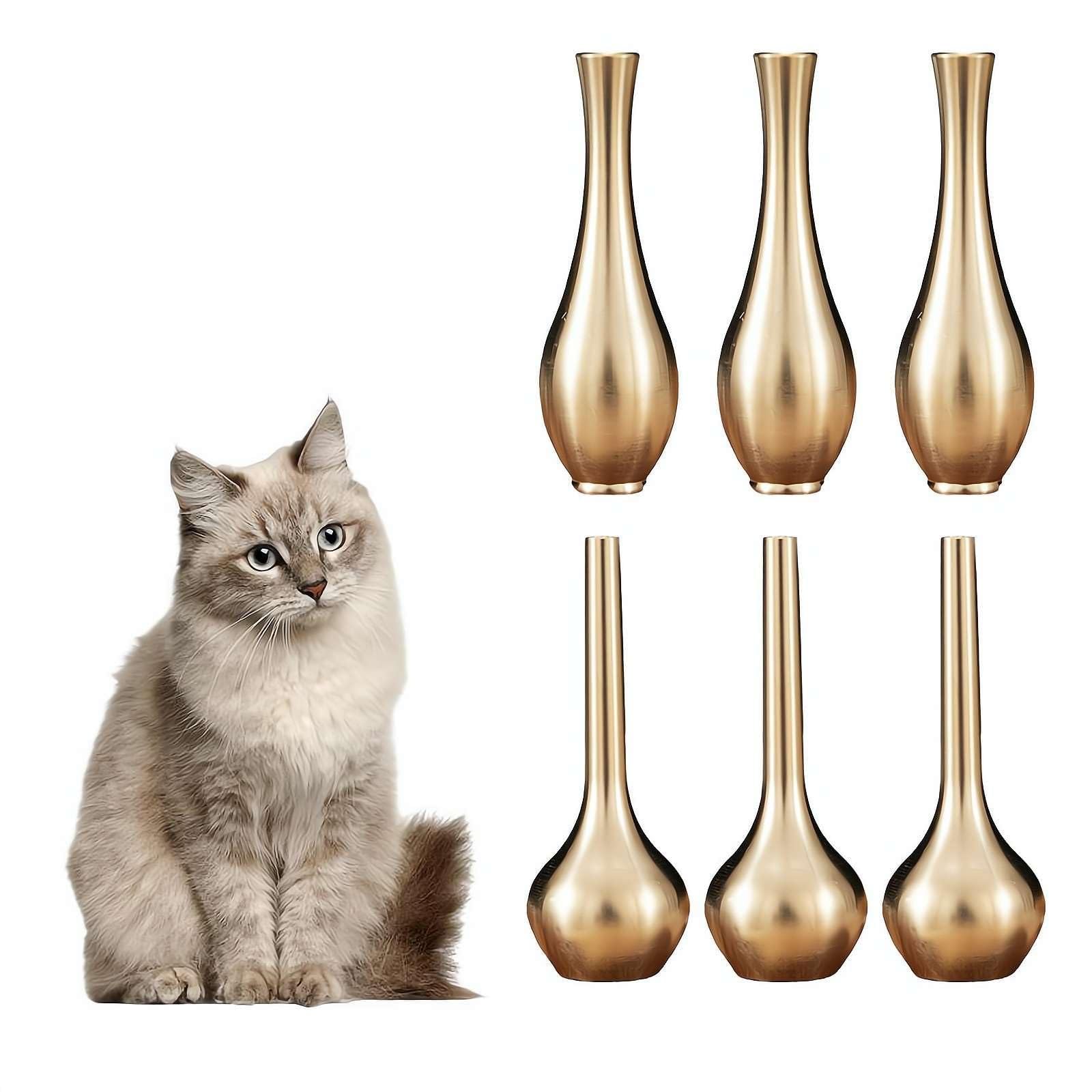 Kleine vaas voor kat snorhaar, mini-vaas, miniatuur vaas, kleine vaas voor decoratie, kat snorharhouder kat snorharpot, kleine bloem heldere vaas voor kat snorharen, 5 stuks