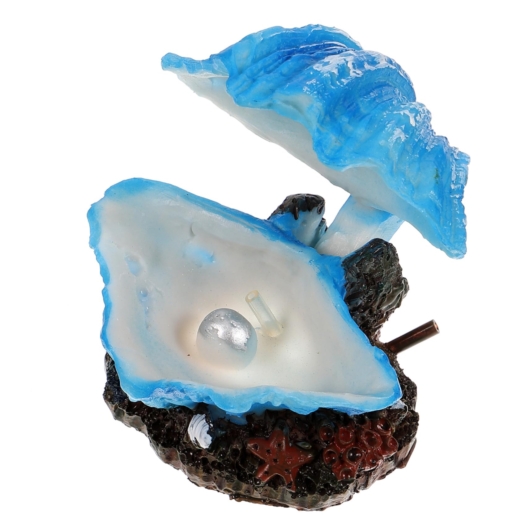 BESPORTBLE 5 Stück Aquarium Muschel Meerwassertank Dekoration Betta Aquarium Versteck Blasenherstellung Muschel Landschaftsbau Dekoration Dekoration