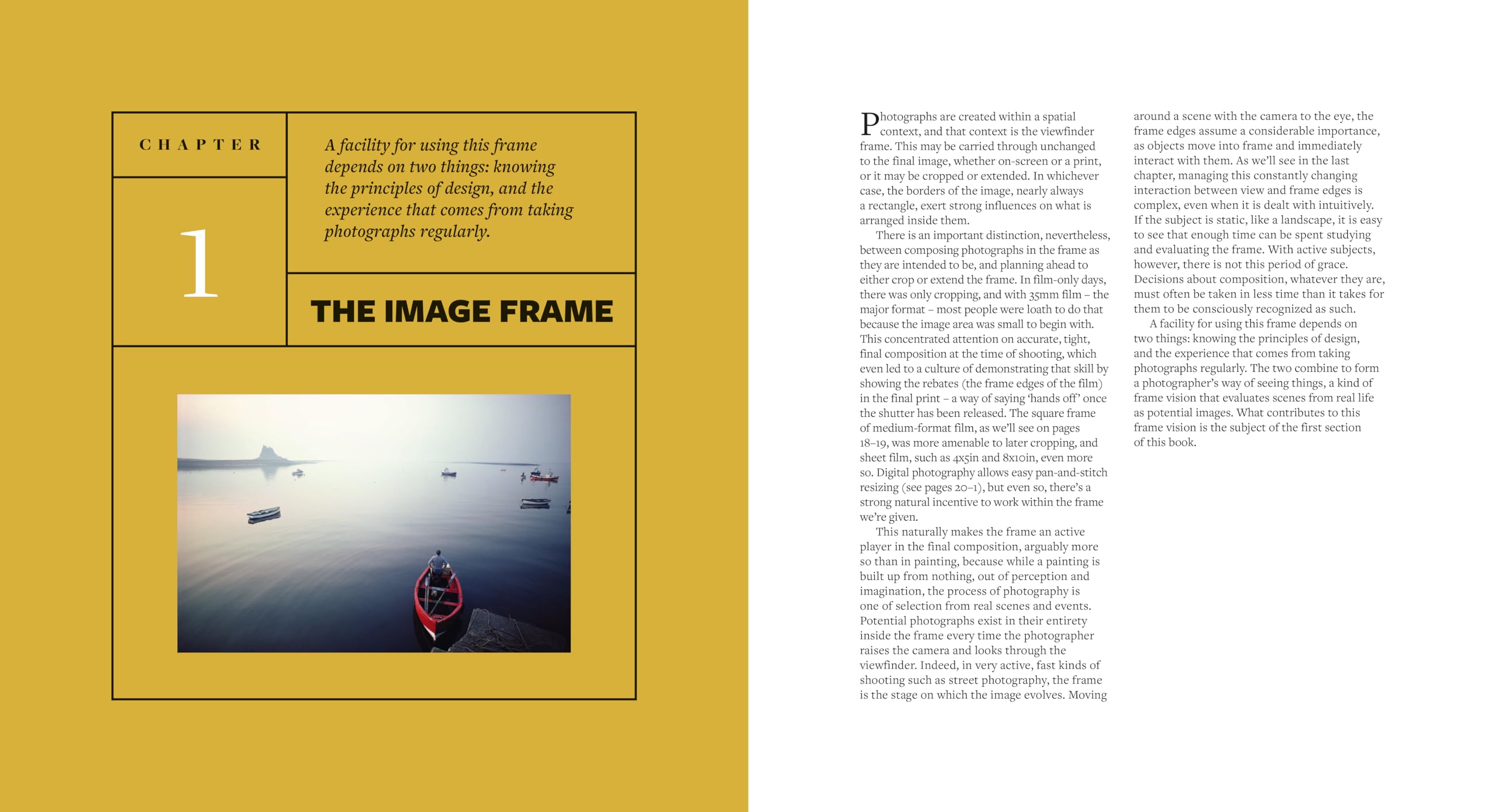 Michael Freeman The Photographer's Eye Remastered /anglais: Composition and Design for Better Photos