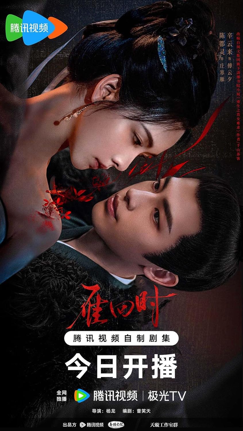 中国ドラマ【The Glory／雁回时】自動翻訳（修正なし） 全話 DVD