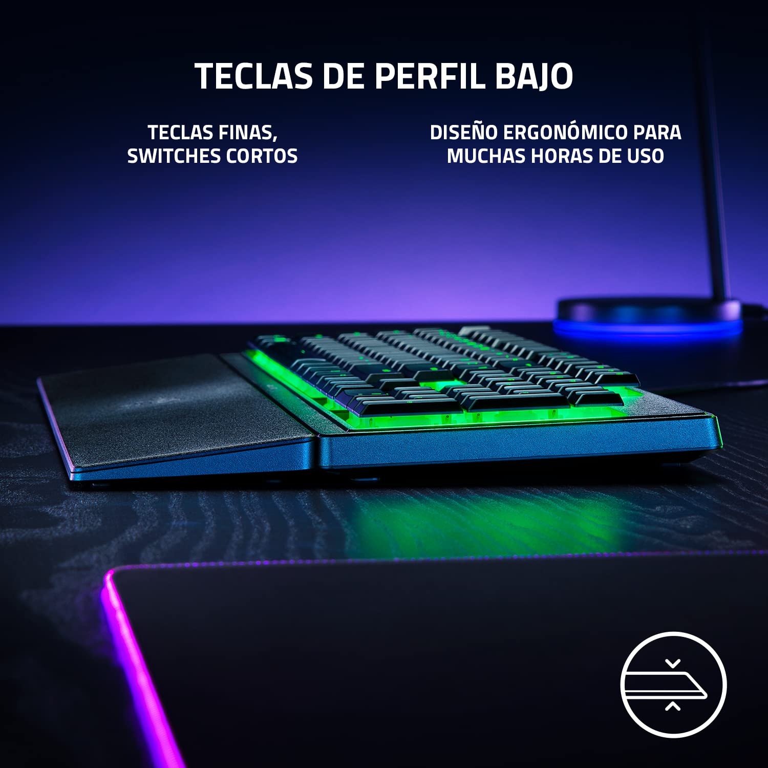Razer Ornata V3 X - Niskoprofilowa klawiatura membranowa z Razer Chroma RGB (hybrydowy przełącznik membranowy, ergonomiczna podpórka pod nadgarstki) Układ ES | Czarny