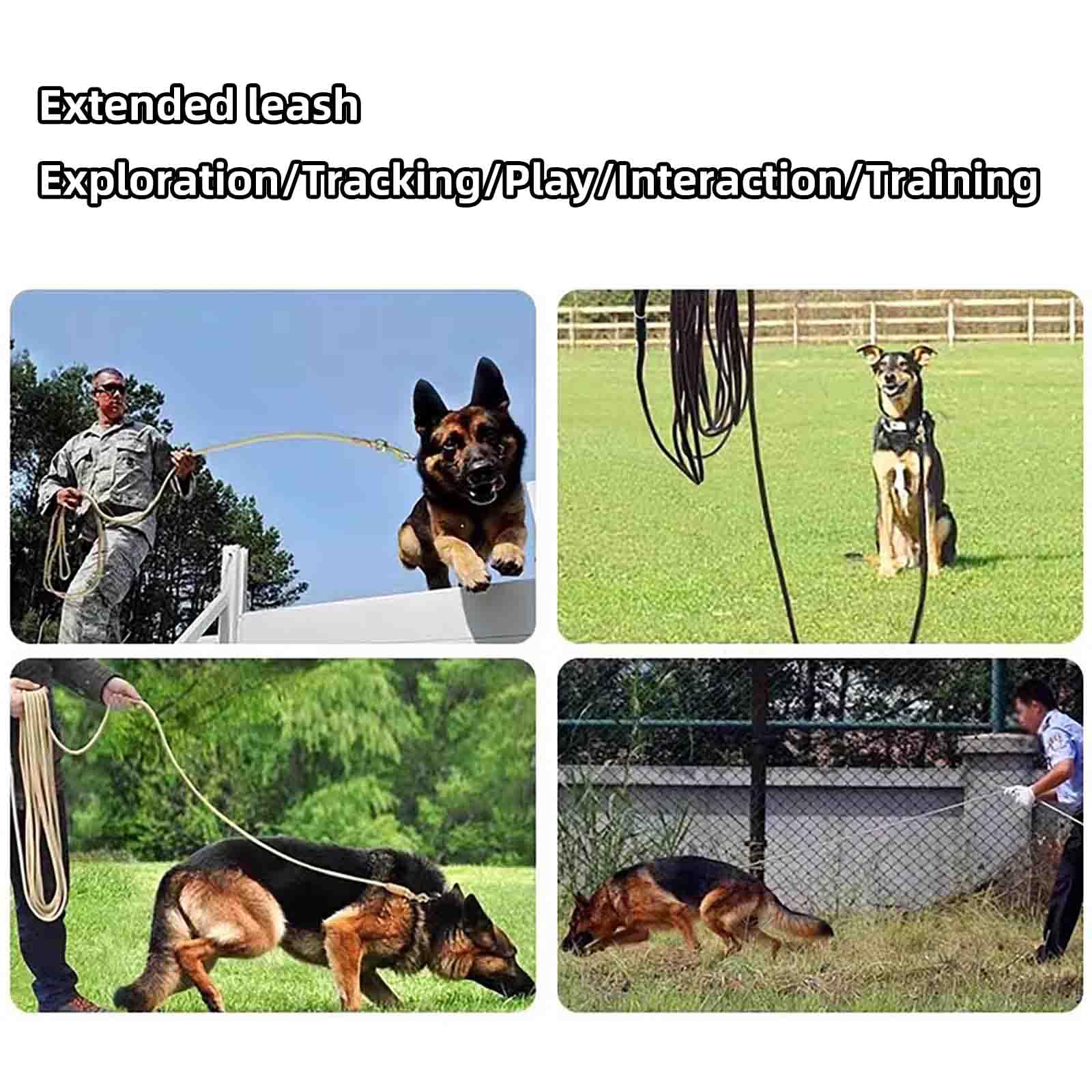Guinzaglio Per Cani Taglia Grande Addestramento Guinzaglio Cane (Black,2m/ 0.8cm)