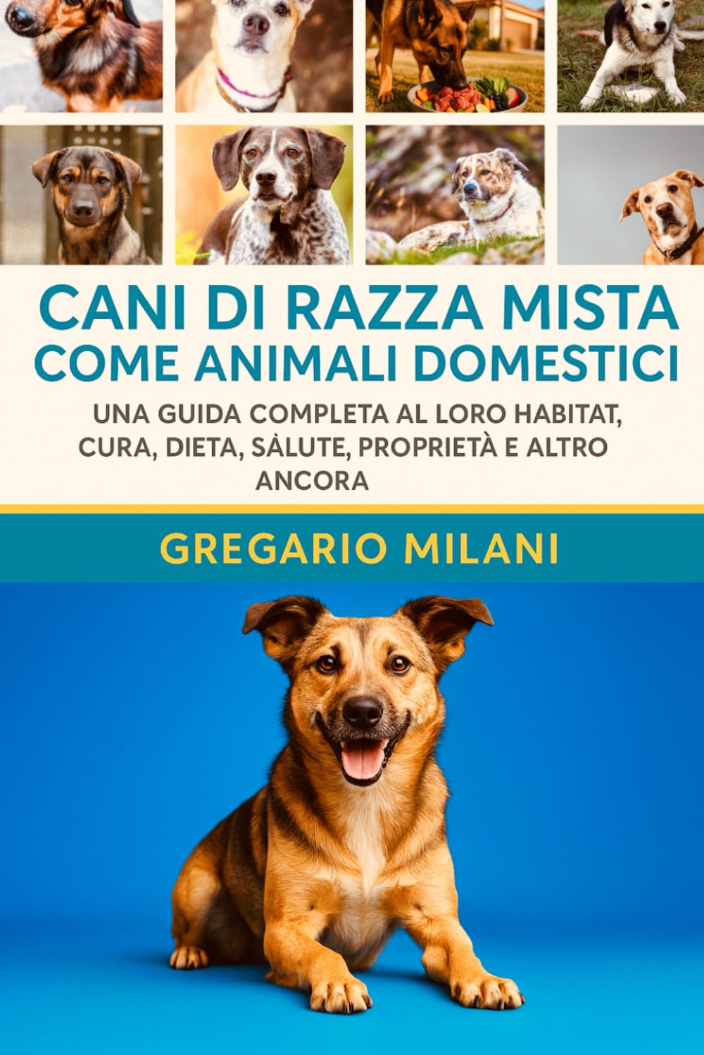 Cani di razza mista come animali domestici: UNA GUIDA COMPLETA AL LORO HABITAT, CURA, DIETA, SALUTE, PROPRIETÀ E ALTRO ANCORA