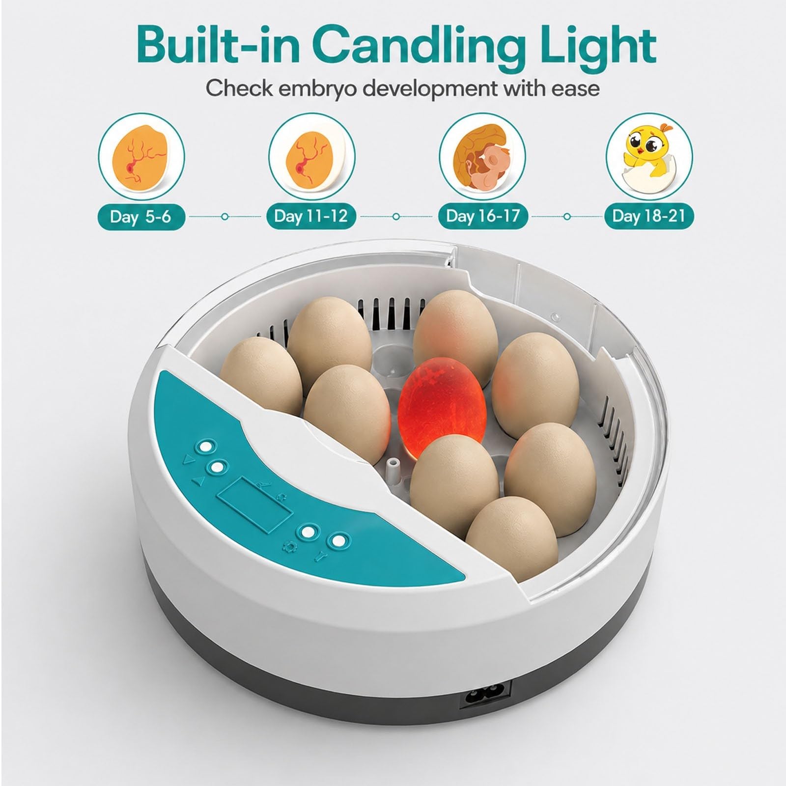 Incubatrice per 9 Uova con Controllo Automatico della Temperatura