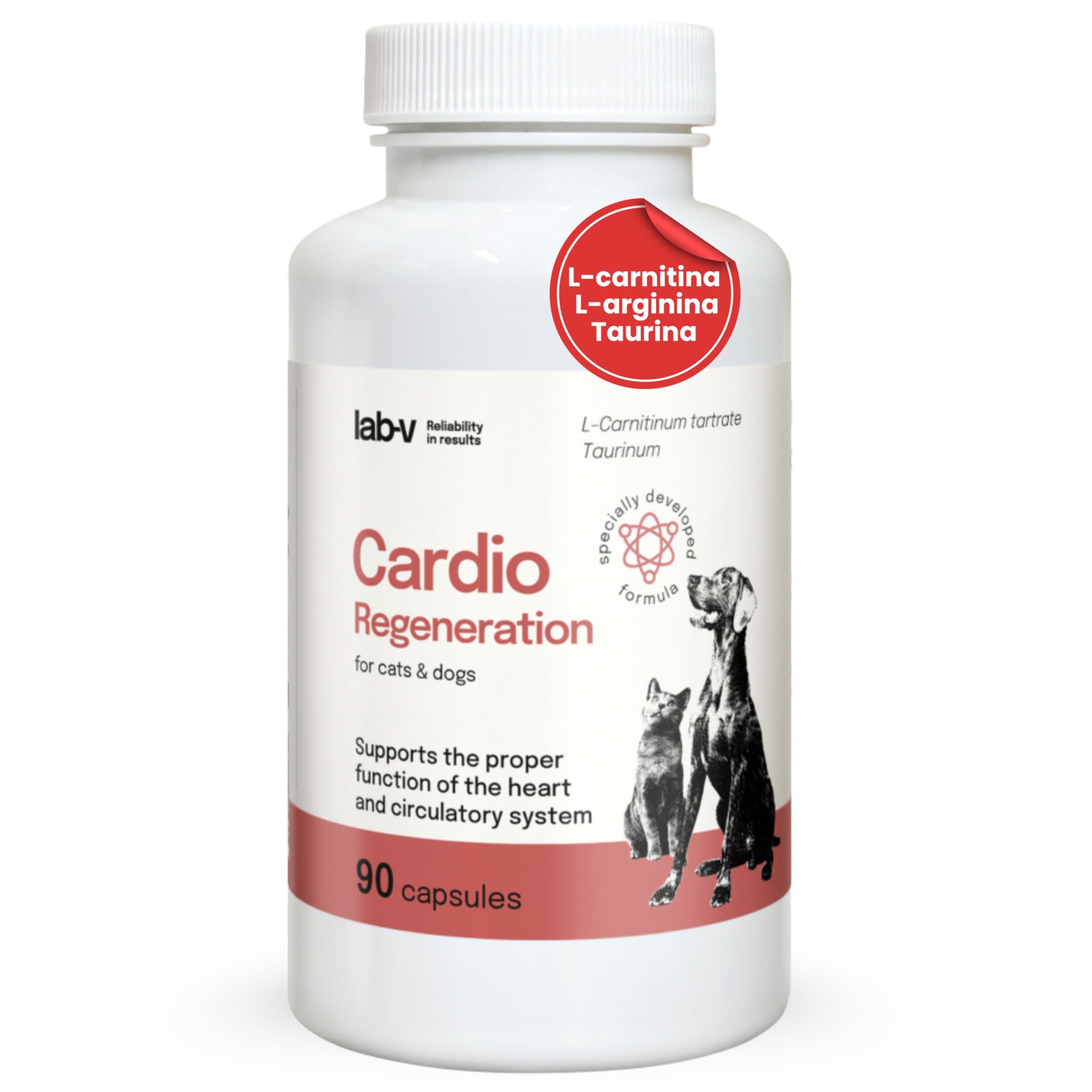 l carnitine safety pregnancy PDF) Carnitine in Pregnancy