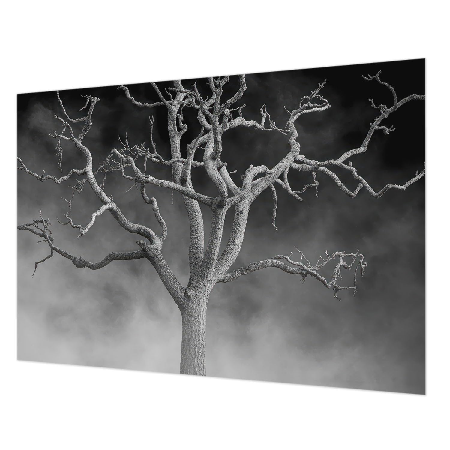 Papier peint intissé 312x219 cm arbre brumeux pour salon et chambre
